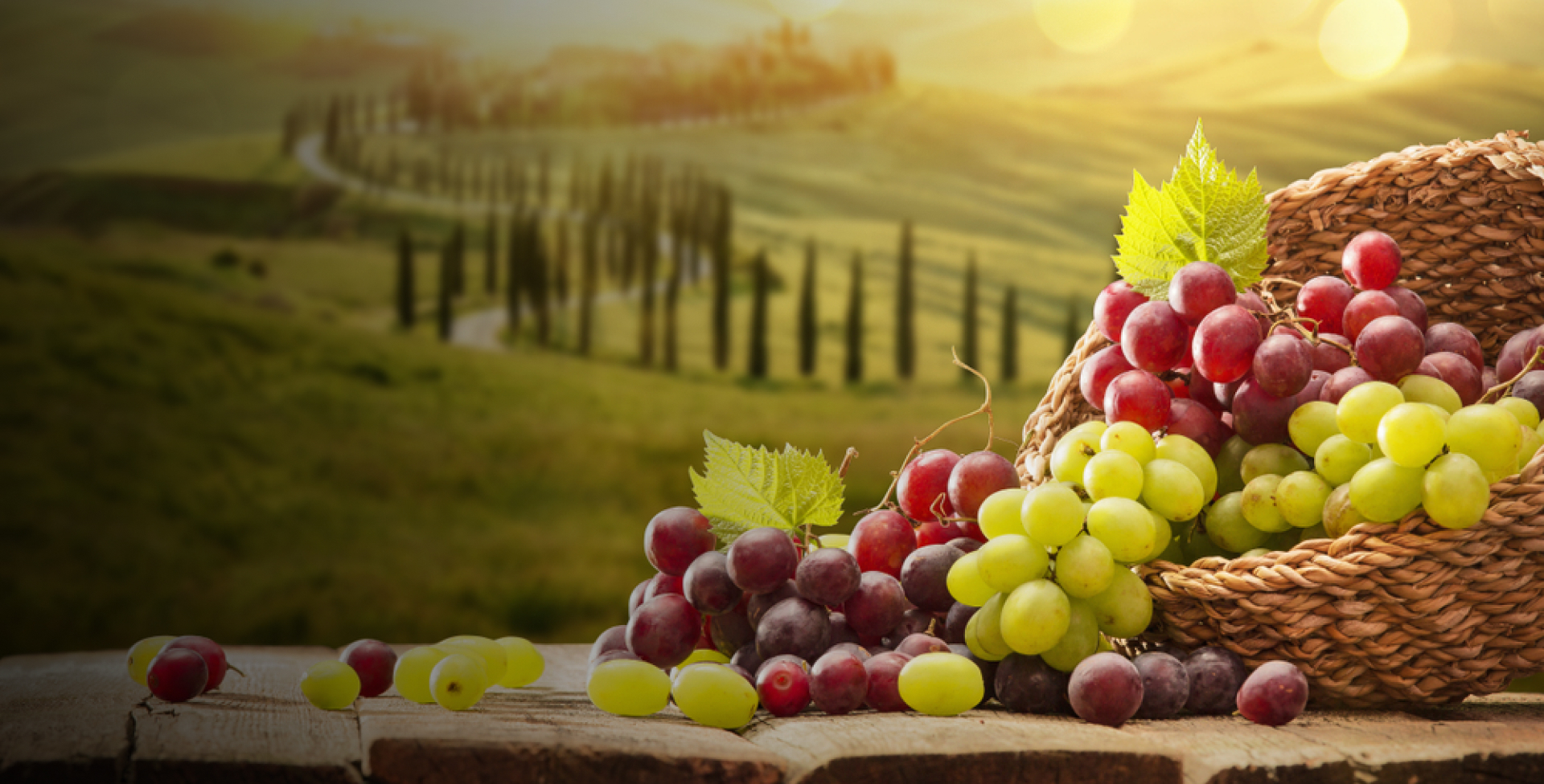 Enim eaque nulla nob